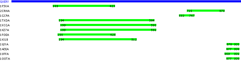 Conserved Domains