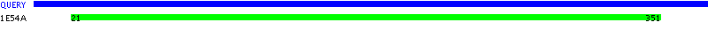Conserved Domains