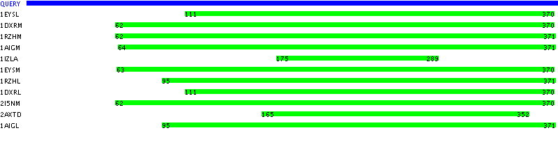 Conserved Domains